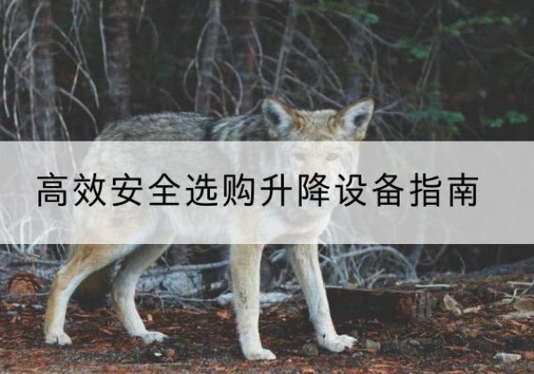 良庆升降货梯厂家推荐-*安全选购升降设备指南