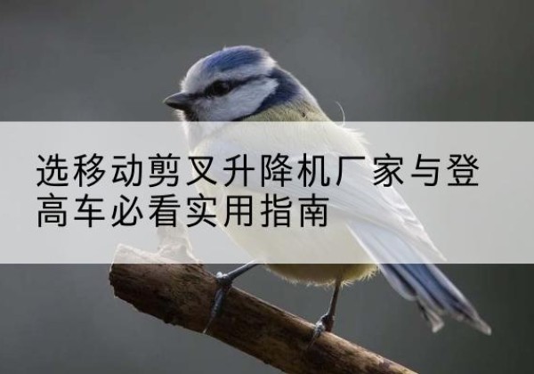 良庆电动升降机厂家-选移动剪叉升降机厂家与登高车必看实用指南
